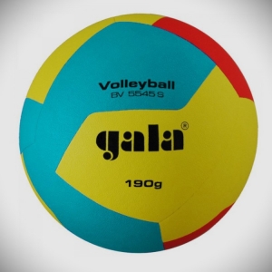 Míč volejbal Gala BV5545S