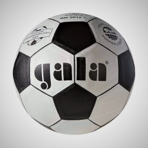 Nohejbalový míč Gala BN5012S